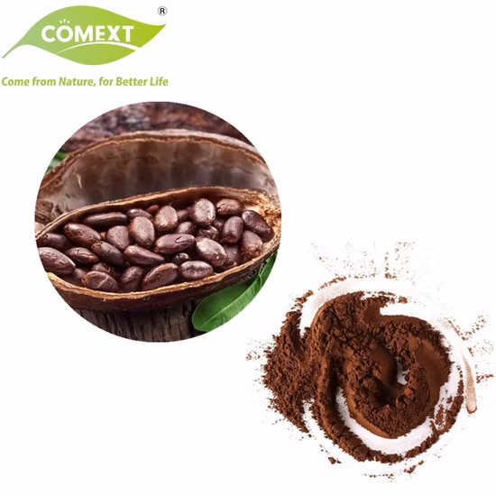 Best Quality Bulk Sales Factory Supply Dark Brown Alkalized Cocoa Powder for Hot Chocolate Drink