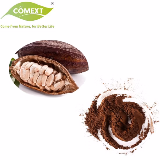Best Quality Bulk Sales Factory Supply Dark Brown Alkalized Cocoa Powder for Hot Chocolate Drink