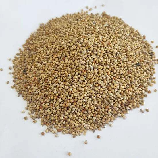 Planting High-Quality Grain Millet in North China, South China and Southwest China